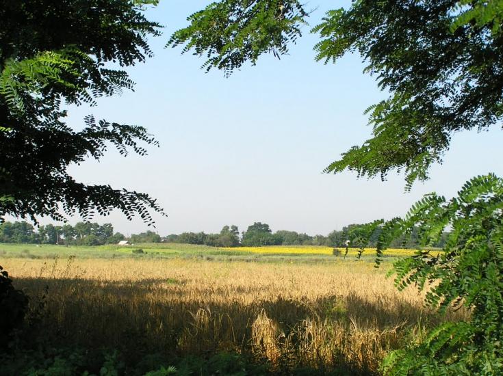 Гупалівка з panoramio.com - Гупаловка