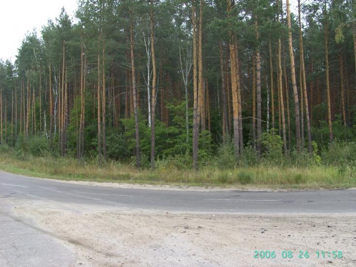 Чорногородка з panoramio.com - Черногородка