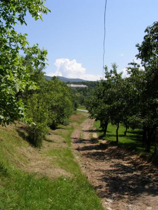 Малий Раковець з panoramio.com - Малый Раковец
