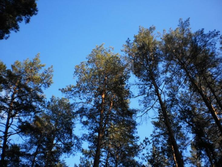 Чугуїв з panoramio.com - Чугуев