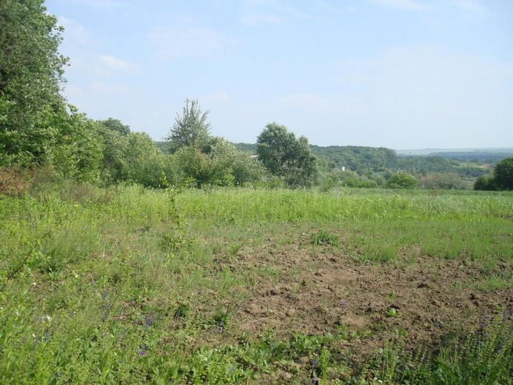 Давидківці з panoramio.com - Давидківці