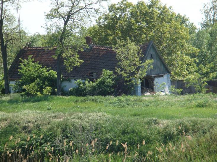 Очеретувате з panoramio.com - Очеретувате