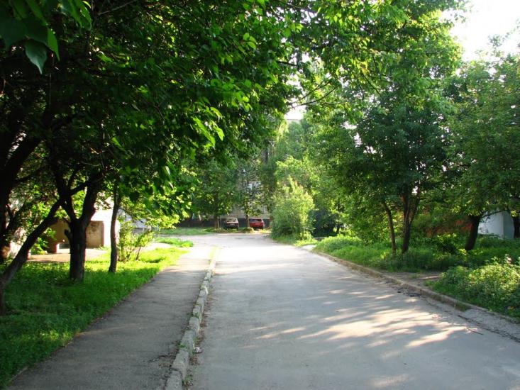 Логачівка з panoramio.com - Логачевка