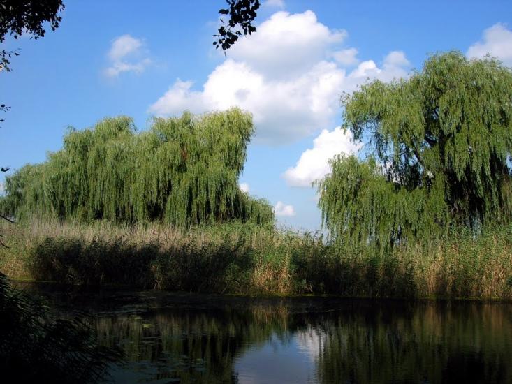 Гірницьке з panoramio.com - Горницкое