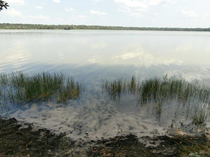 Ниговищі з panoramio.com - Ниговищи