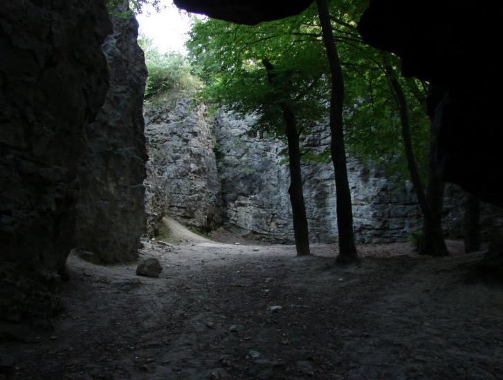 Винники з panoramio.com - Vynnyky