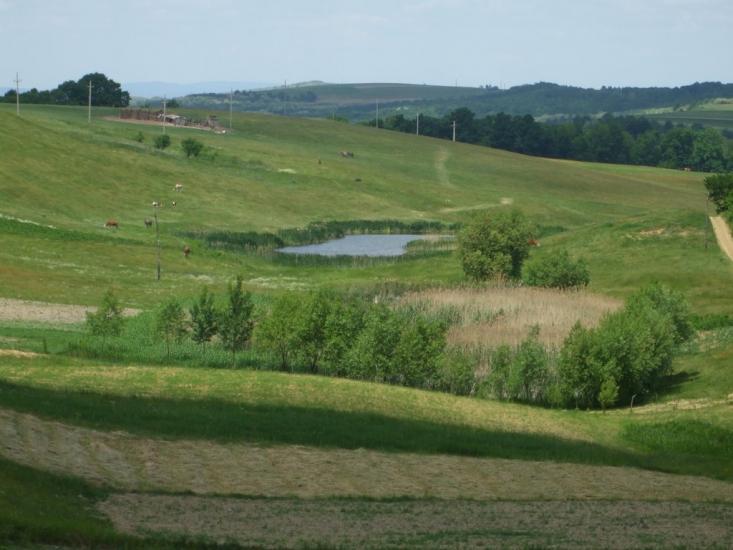 Могилівка з panoramio.com - Могилевка