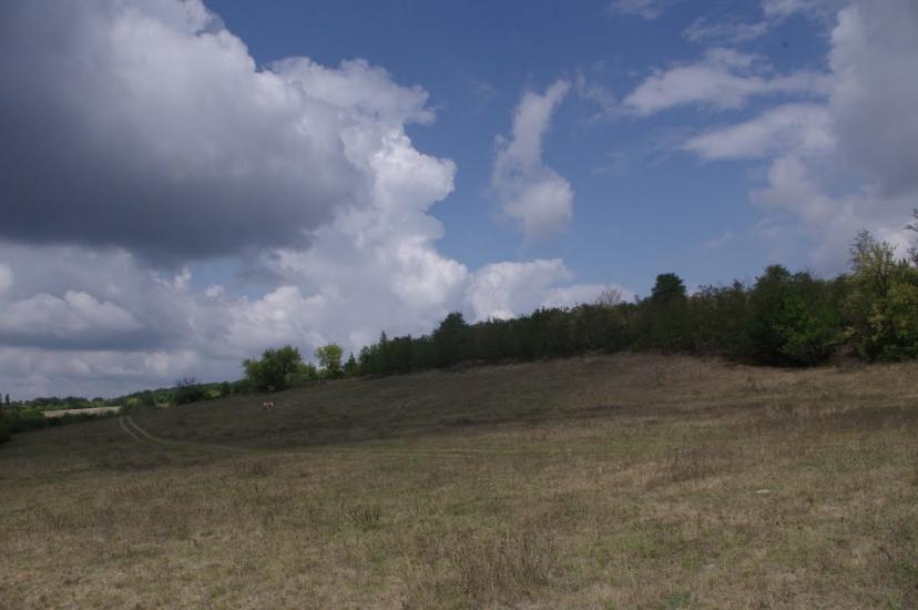 Гусакове з panoramio.com - Гусакове