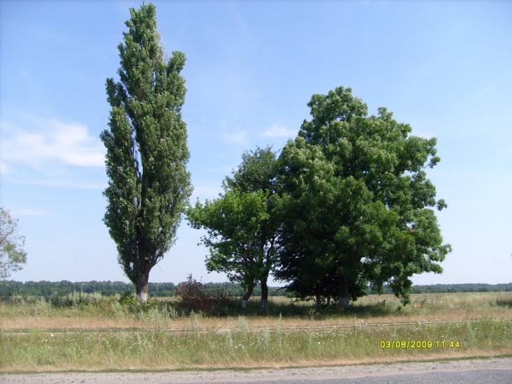 Сьомаки з panoramio.com - Семаки