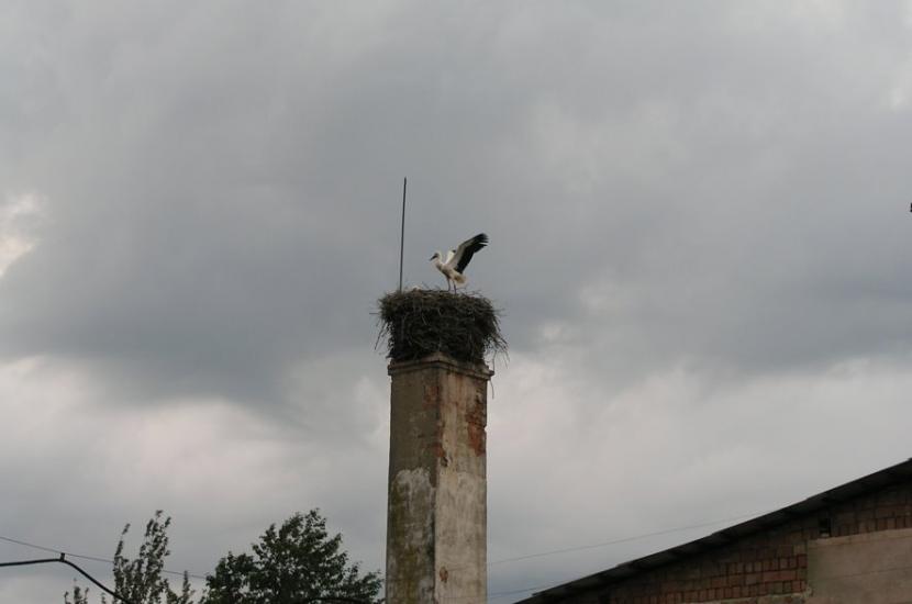 Берегомет з panoramio.com - Берегомет