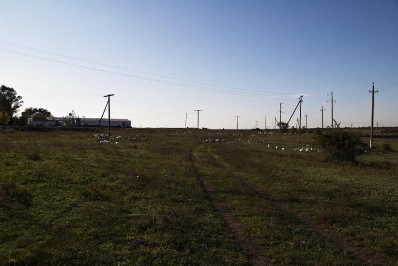 Лошкарівка з panoramio.com - Лошкаровка