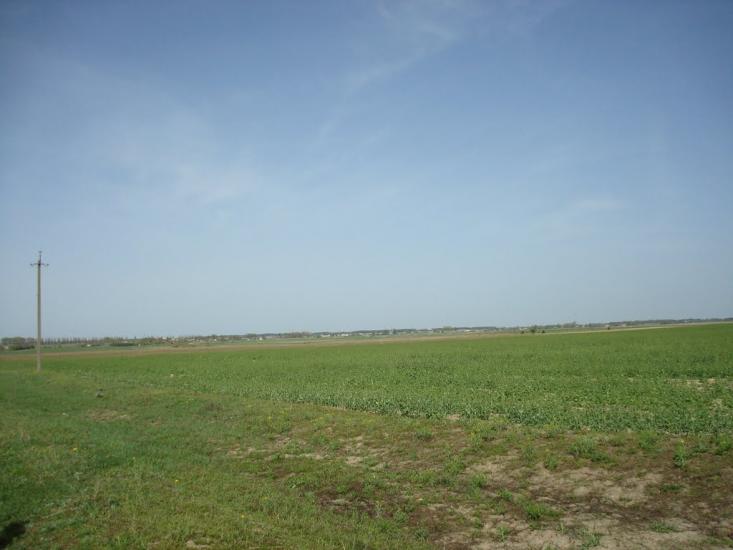 Дроздні з panoramio.com - Дроздні
