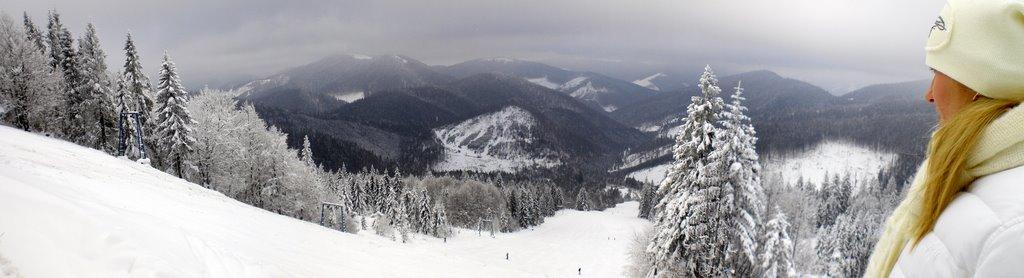 Сухий Потік з panoramio.com - Сухой Поток