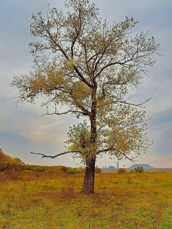 Каютине з panoramio.com - Каютино