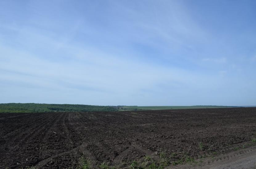 Лікарівка з panoramio.com - Лікарівка