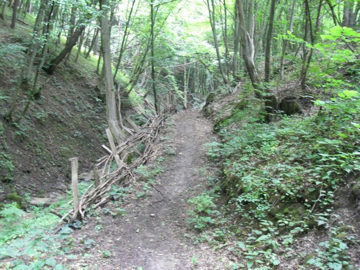 Біла з panoramio.com - Біла