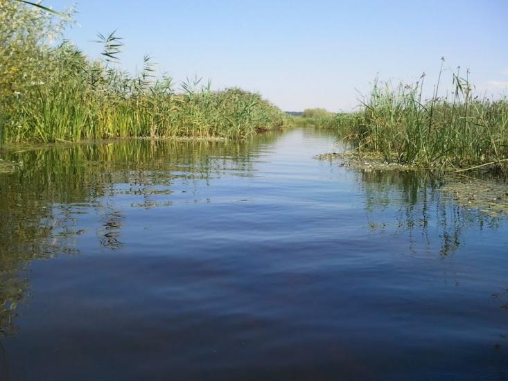 Гупалівка з panoramio.com - Гупаловка