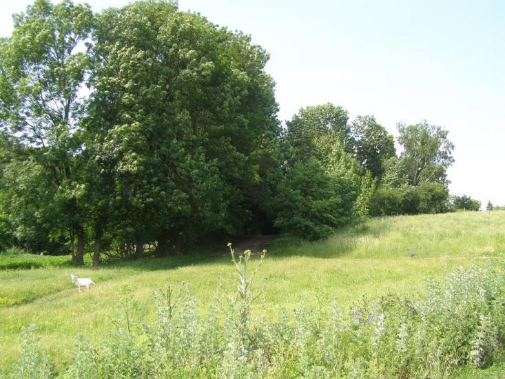 Сатанівка з panoramio.com - Сатановка