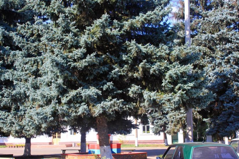 Бершадь з panoramio.com - Бершадь