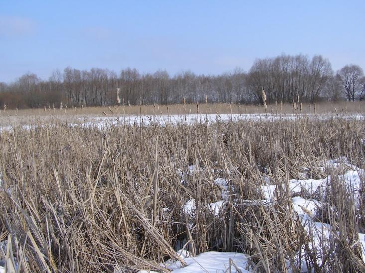 Осколонівка з panoramio.com - Осколонівка