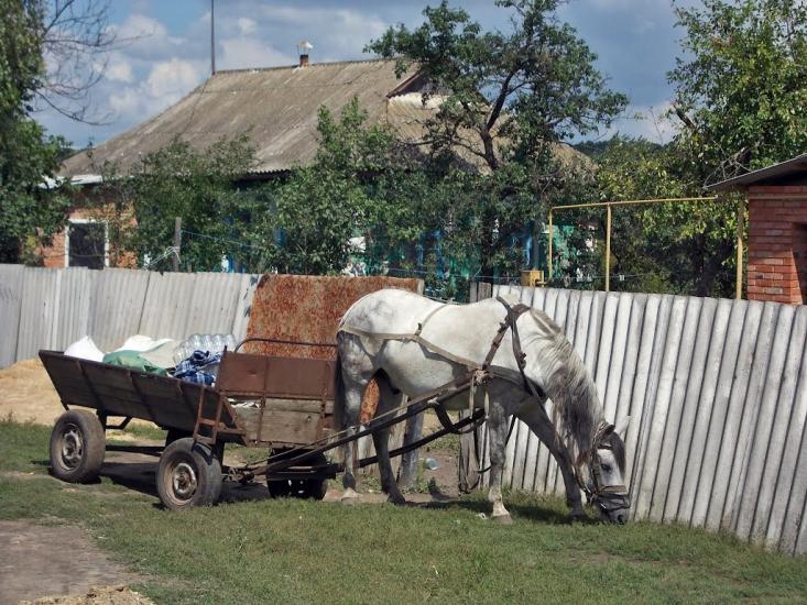 Троща з panoramio.com - Троща