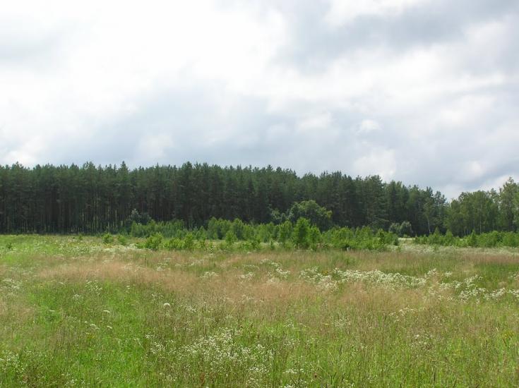 Горщик з panoramio.com - Горщик
