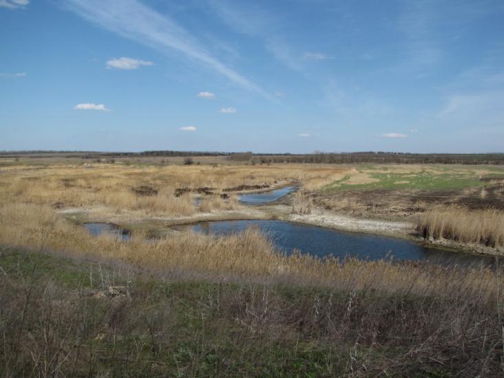 Розівка з panoramio.com - Розовка