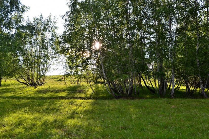 Люта з panoramio.com - Люта