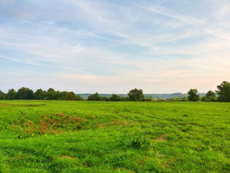Горбове з panoramio.com - Gorbove