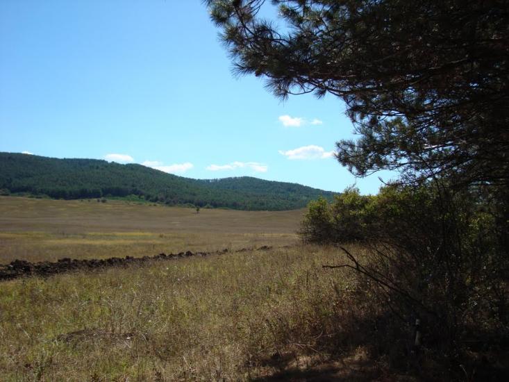 Строгонівка з panoramio.com - Строгонівка