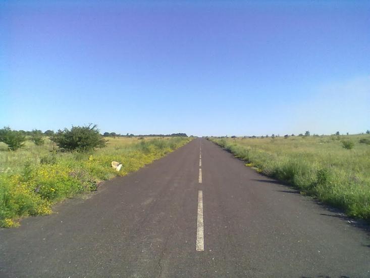 Пискунівка з panoramio.com - Пискуновка