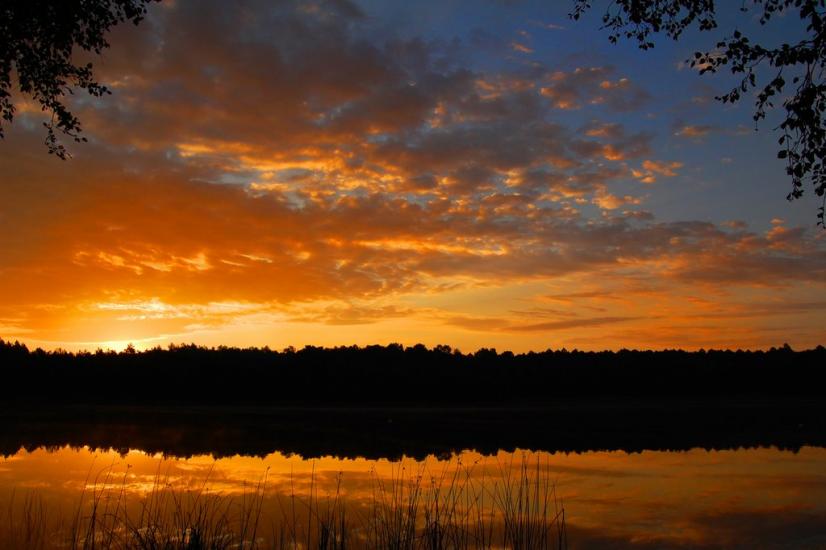 Піски-Річицькі з panoramio.com - Піски-Річицькі
