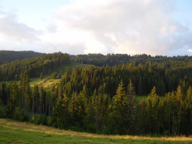 Погар з panoramio.com - Погар