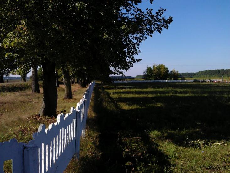 Великі Крушлинці з panoramio.com - Velyki Krushlyntsi