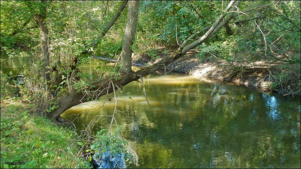 Званівка з panoramio.com - Звановка