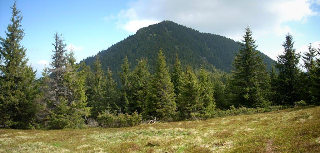 Видричка з panoramio.com - Видричка