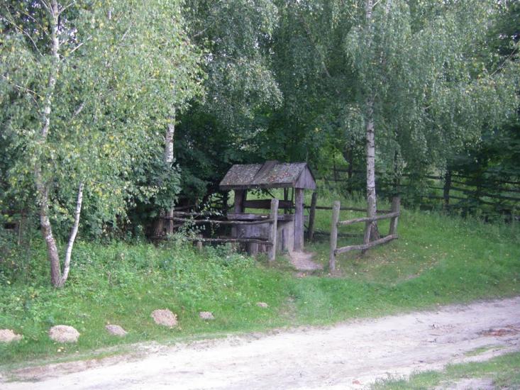 Верба з panoramio.com - Верба