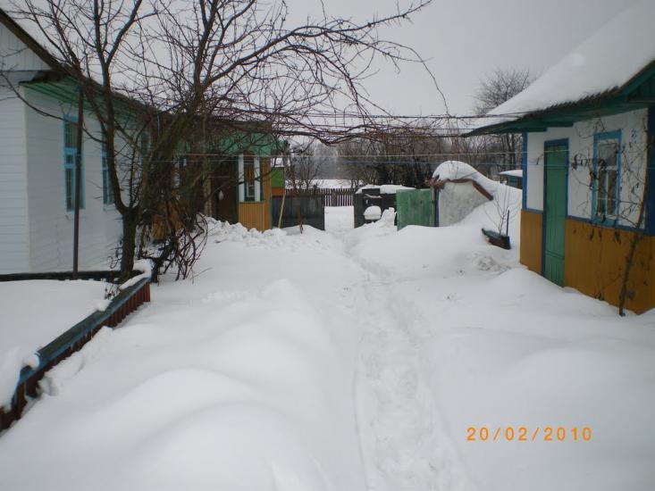 Червоні Партизани з panoramio.com - Володьковська Дівиця