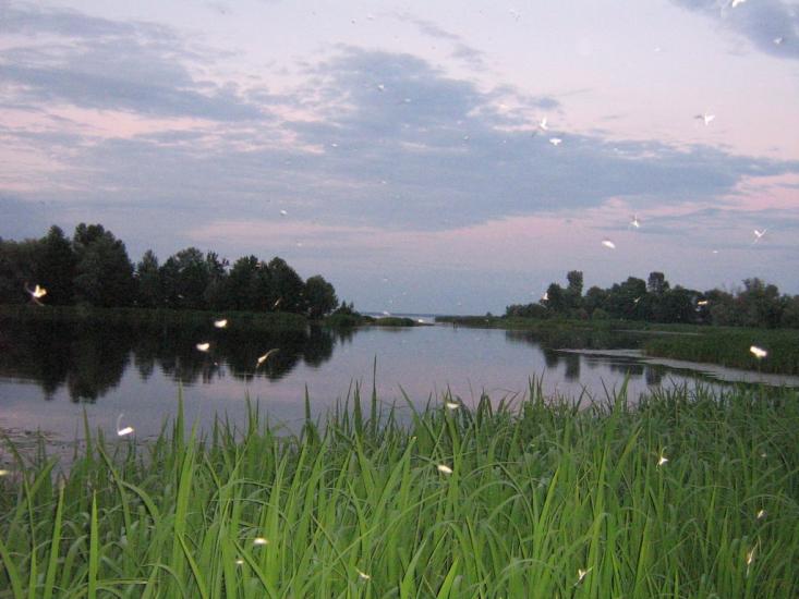Глібівка з panoramio.com - Глебовка