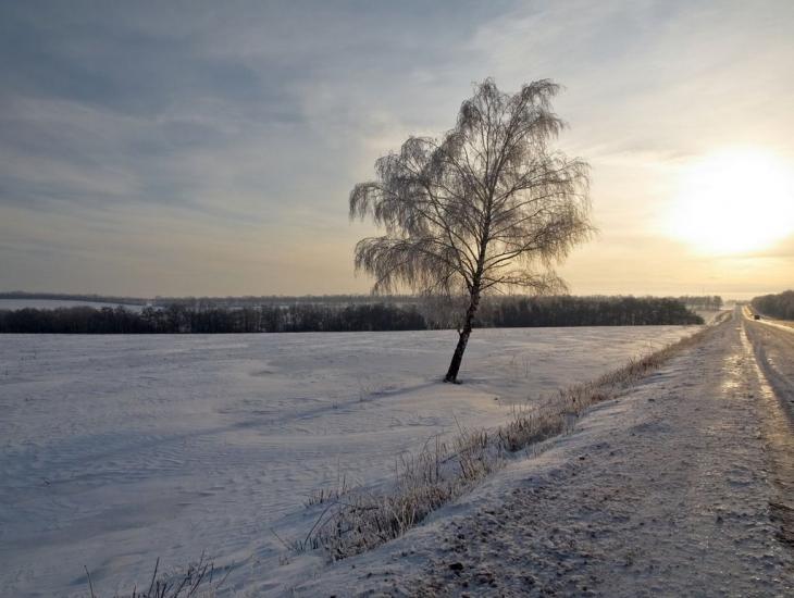 Бобрівка з panoramio.com - Бобровка