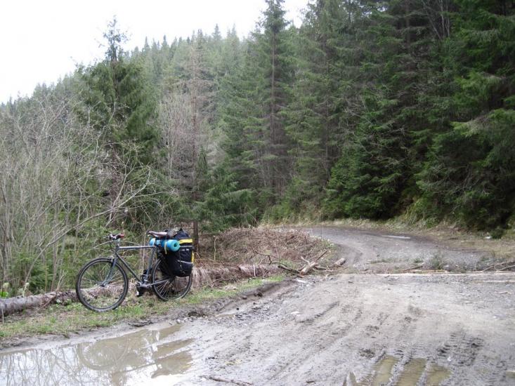 Андреківське з panoramio.com - Андрековское