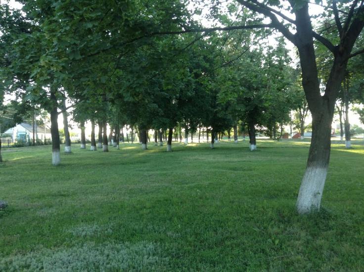 Перещепине з panoramio.com - Перещепино