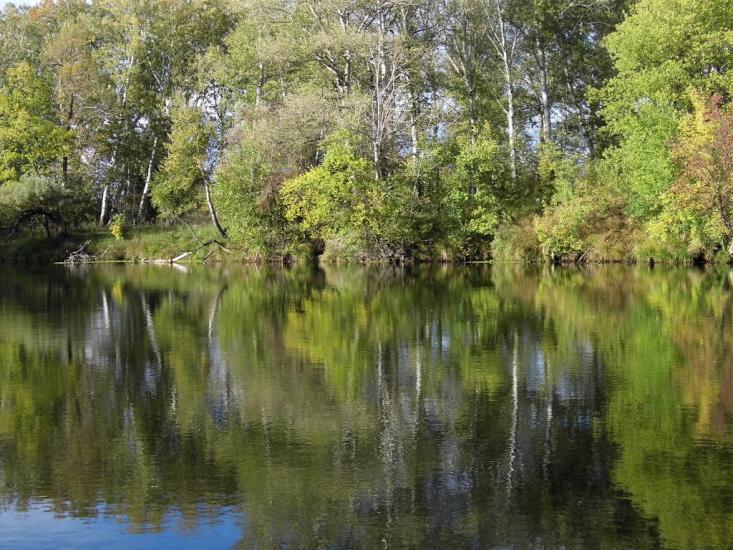 Богородичне з panoramio.com - Богородичное