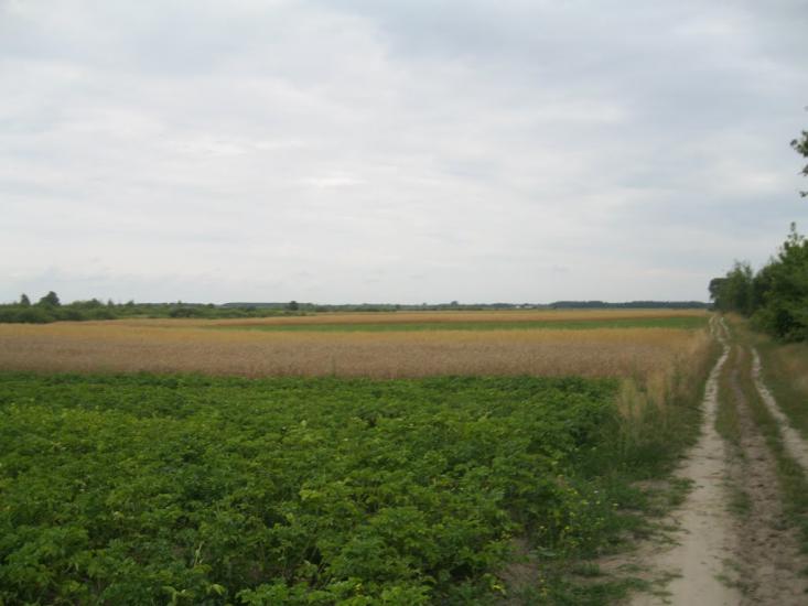 Хотешів з panoramio.com - Хотешів