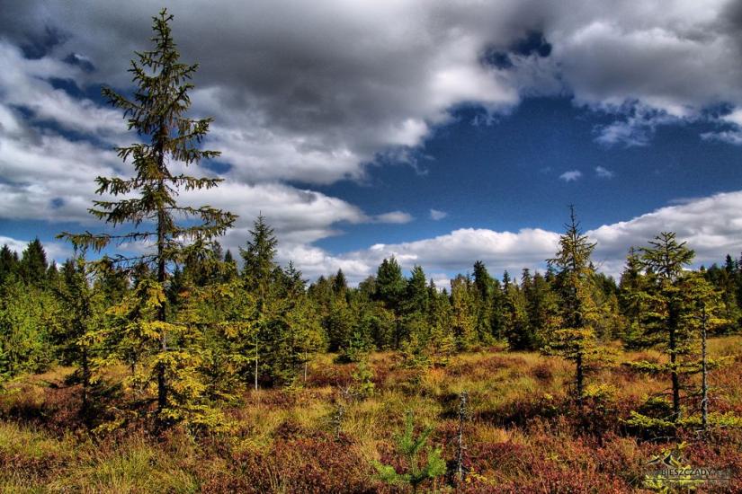 Боберка з panoramio.com - Боберка