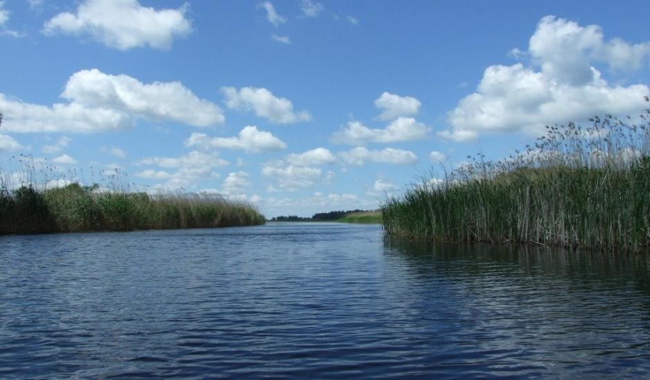 Солонці з panoramio.com - Solontsi