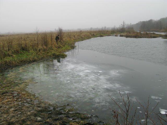 Заріччя з panoramio.com - Заріччя