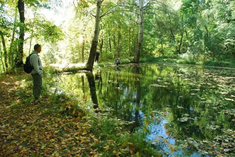 Глинське з panoramio.com - Глинське