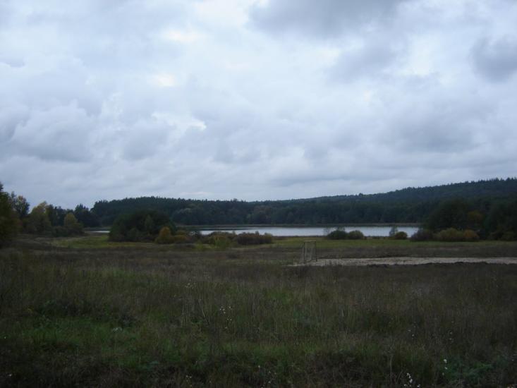 Бірки з panoramio.com - Борки