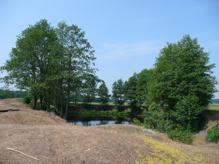 Чорногородка з panoramio.com - Чорногородка